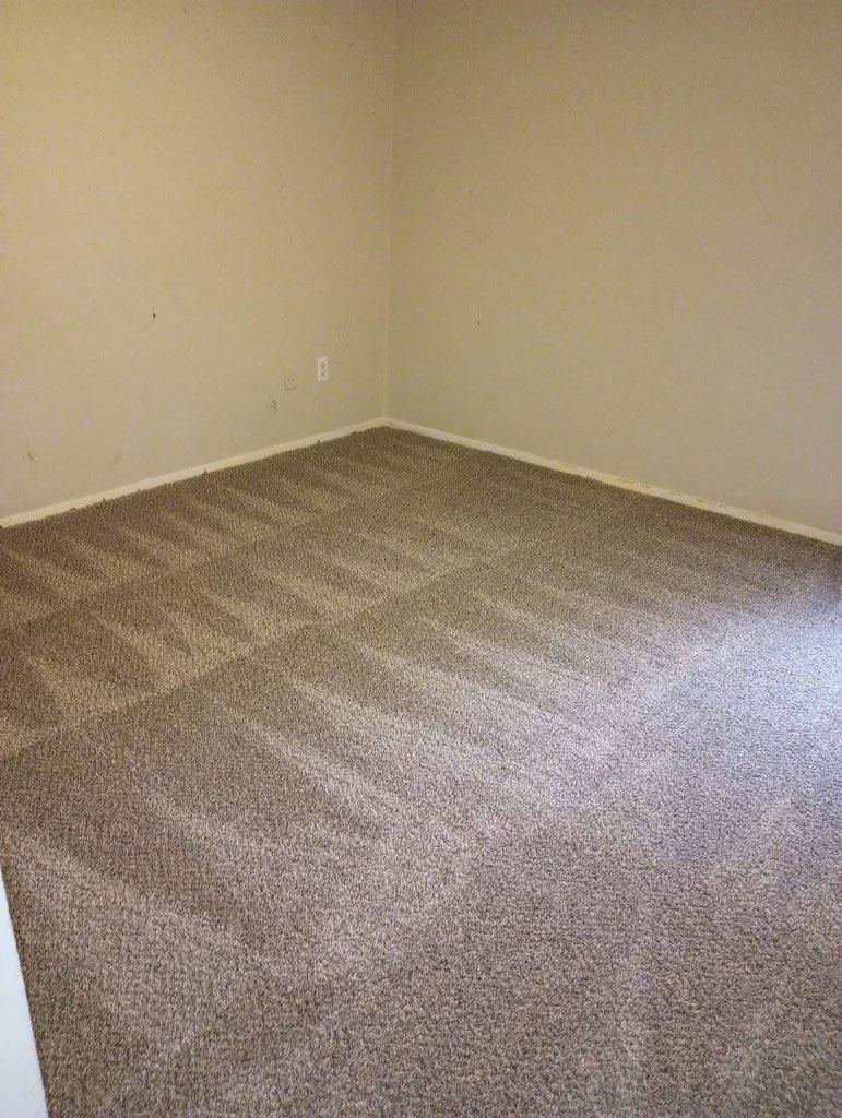 Freshly vacuumed carpet with clean lines after cleaning